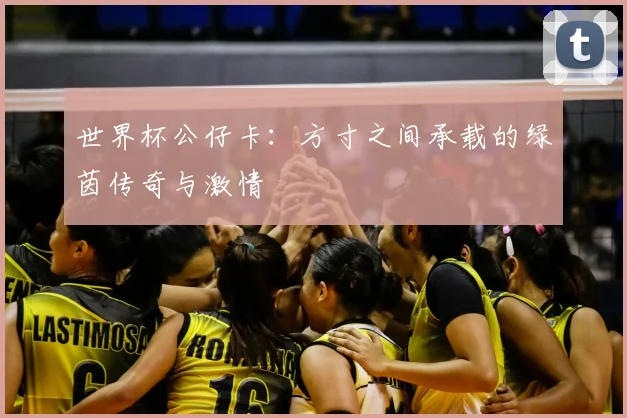 世界杯公仔卡：方寸之间承载的绿茵传奇与激情