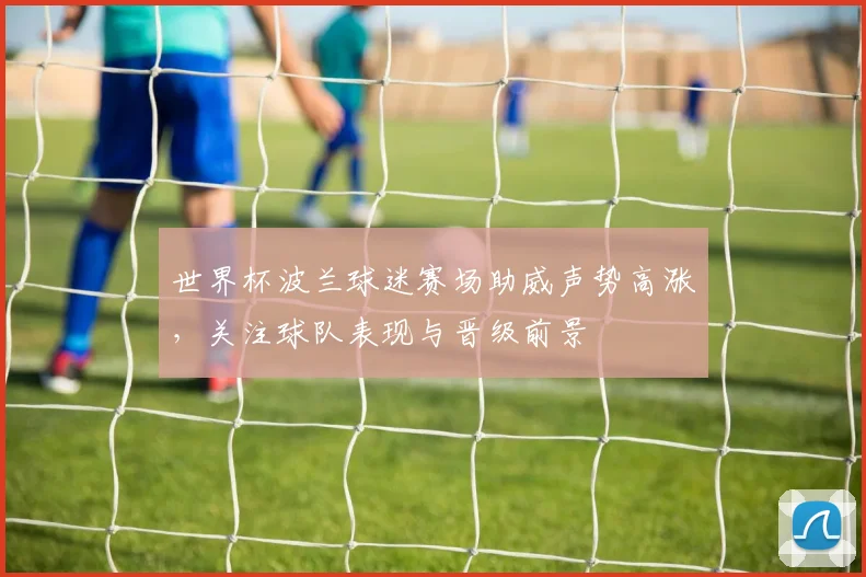 世界杯波兰球迷赛场助威声势高涨，关注球队表现与晋级前景
