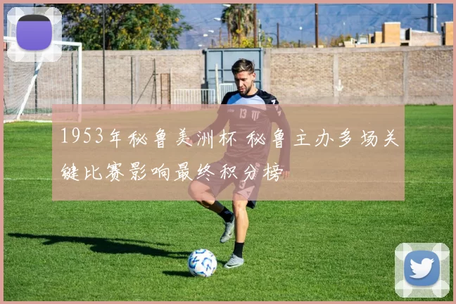 1953年秘鲁美洲杯 秘鲁主办多场关键比赛影响最终积分榜