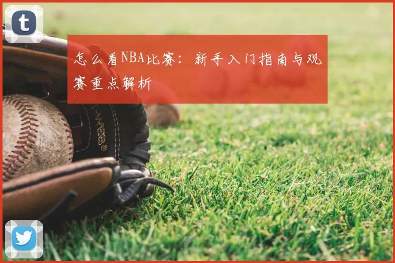 怎么看NBA比赛：新手入门指南与观赛重点解析